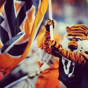 Meet your Posher, Jackson